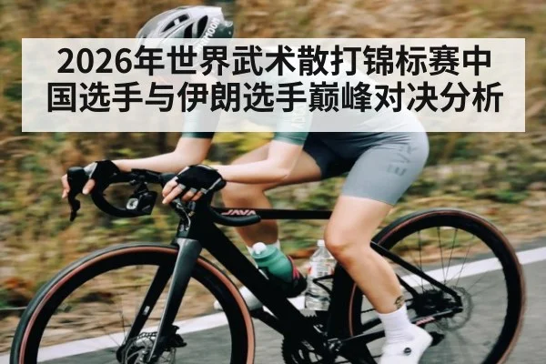 2026年世界武术散打锦标赛中国选手与伊朗选手巅峰对决分析